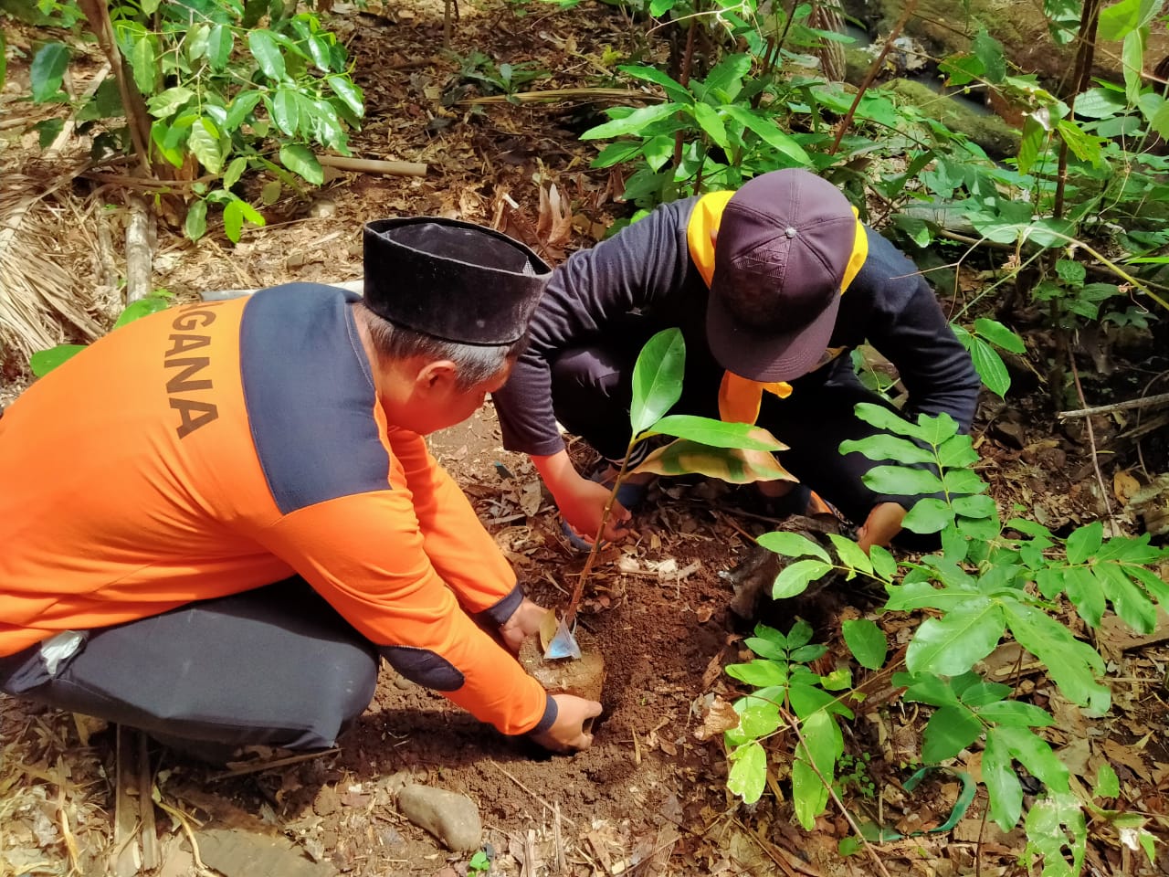 Peduli Lingkungan, Ansor Susukanlebak Tanam 100 Pohon dan 2000 Bibit Lele