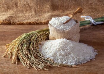 Apakah Guru, Ustaz, Kiai Boleh Menerima Zakat Fitrah? Ini Penjelasnnya